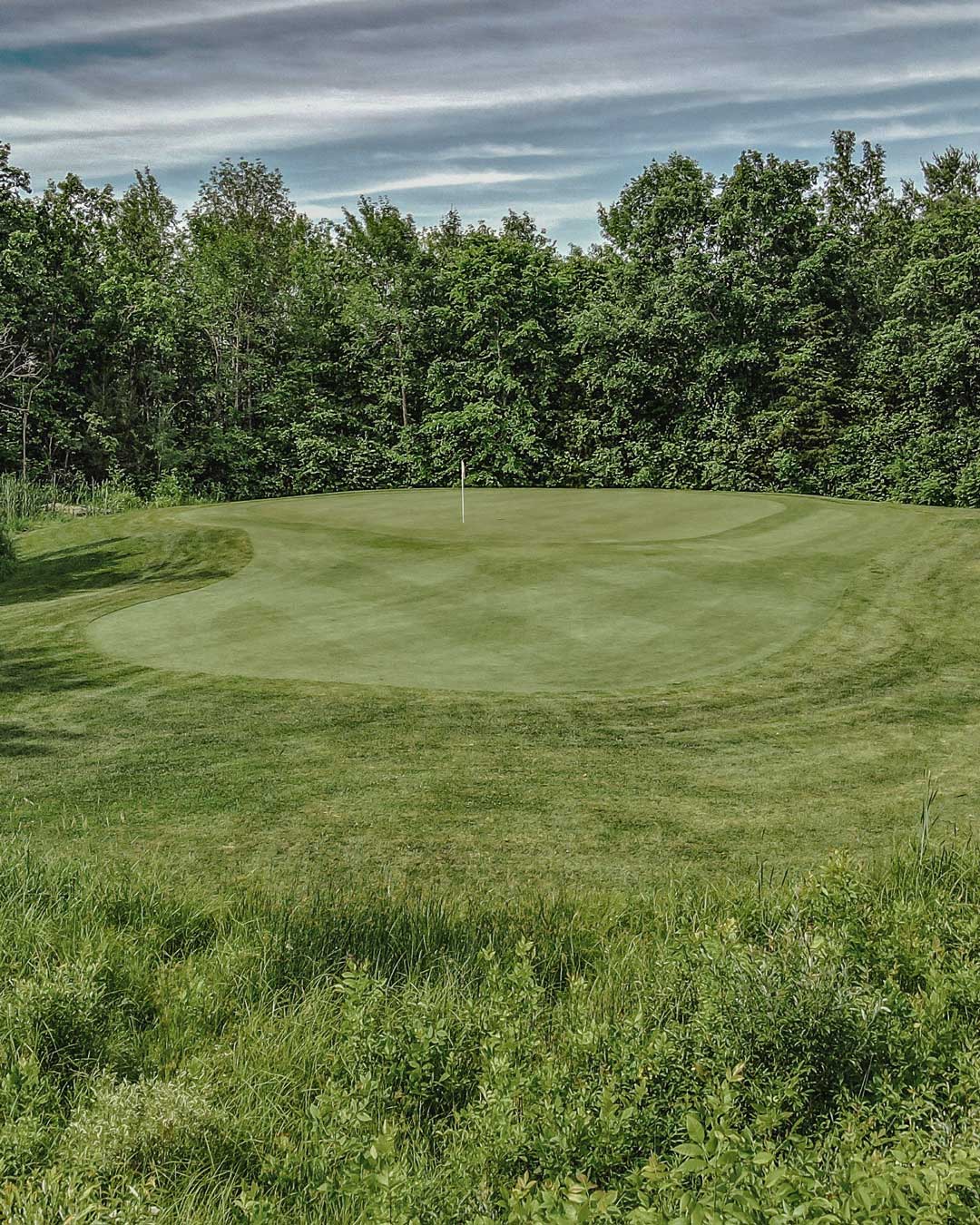 Muskoka golf green in forest