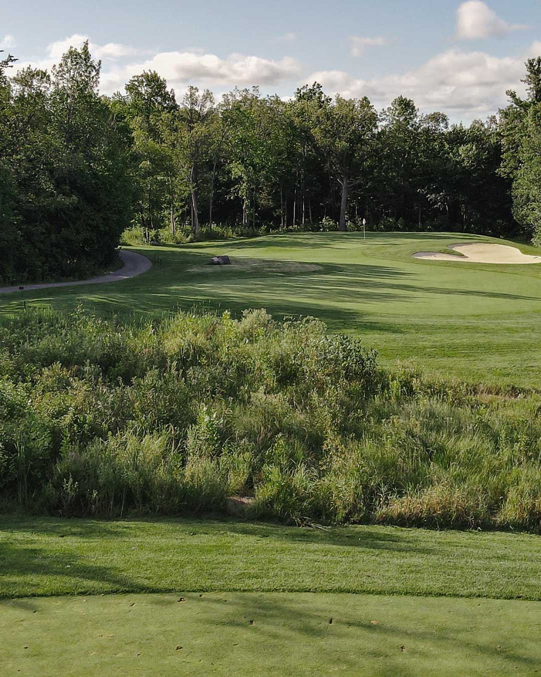 Muskoka golf green and fairway