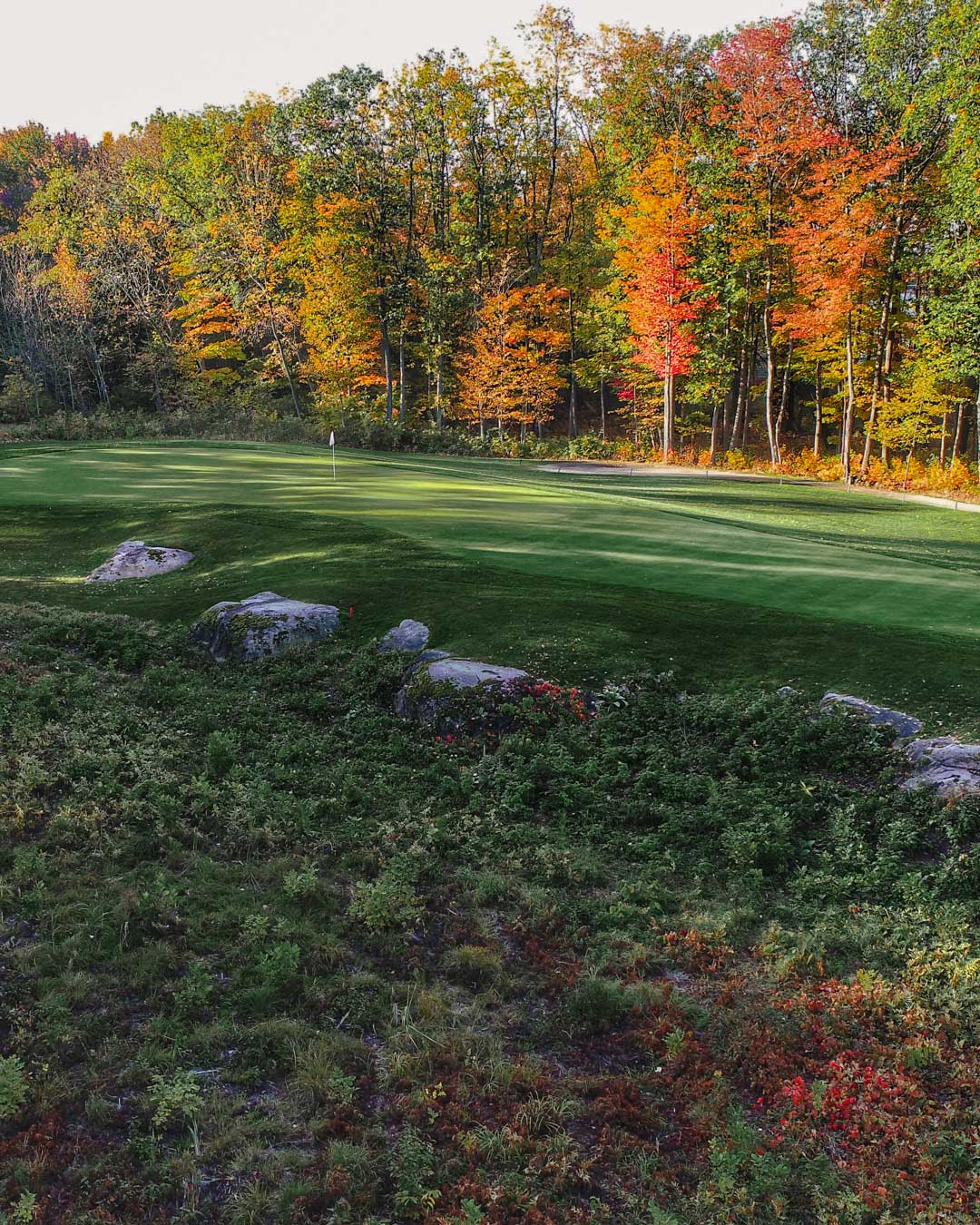 Muskoka golf green fall leaves