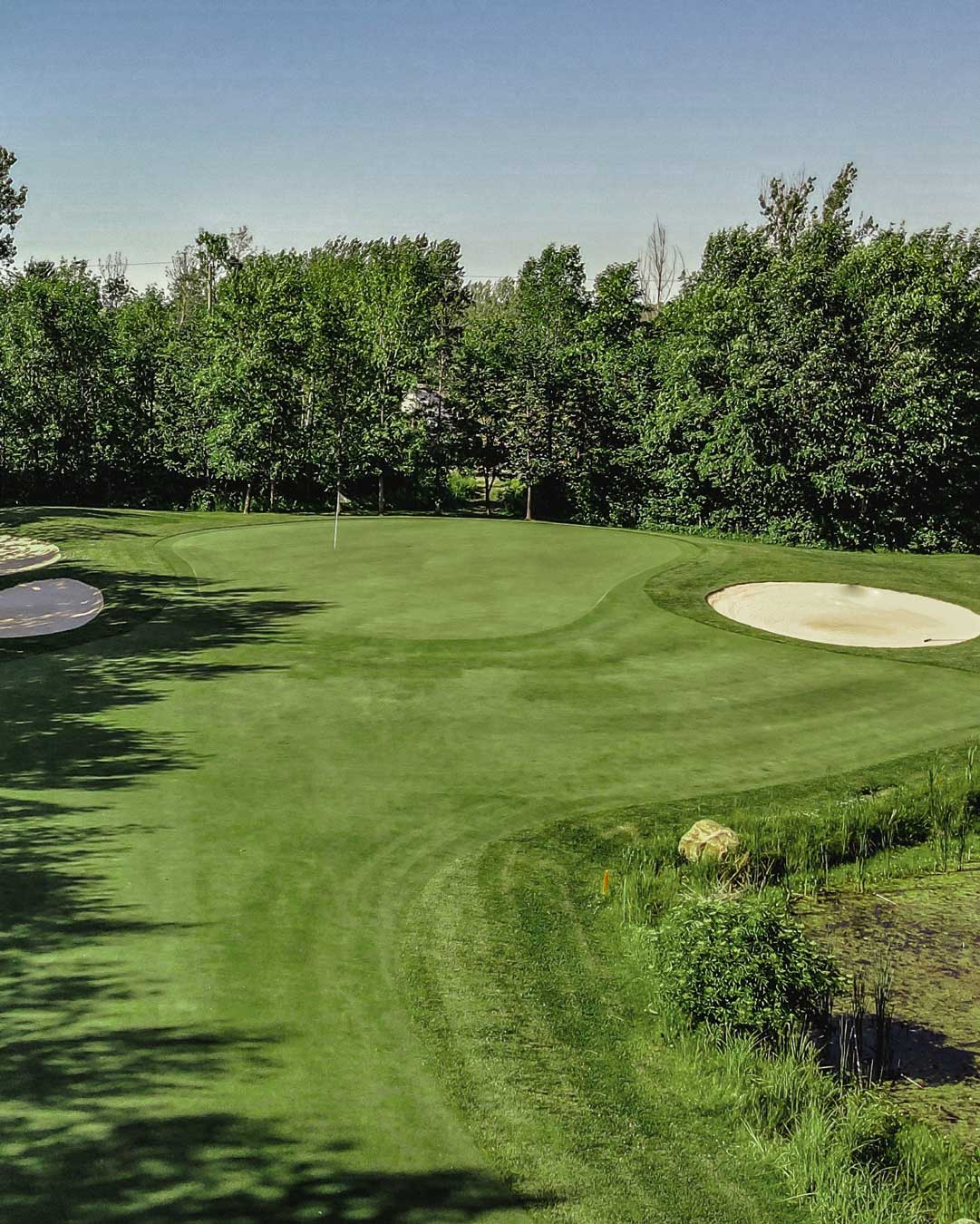 Muskoka golf green with two bunkers